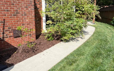Photo of Cameron M.'s yard after getting lawn care in Charlotte, NC