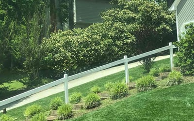 Photo of Joyce V.'s yard after getting lawn care in Perris, CA