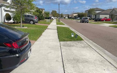 Photo of Colleen R.'s yard after getting lawn care in Sanford, FL