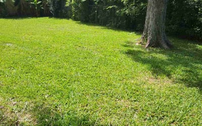 Photo of Rodrigo A.'s yard after getting lawn care in Middletown, RI