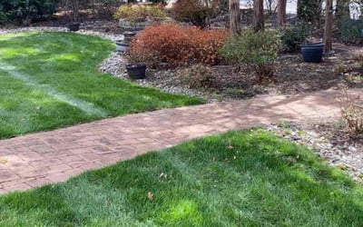 Photo of Pauline H.'s yard after getting lawn care in Sparta, NJ