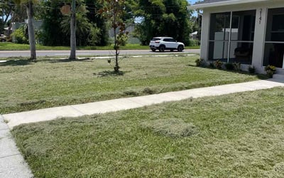 Photo of Shane C.'s yard after getting lawn care in Windsor Locks, CT