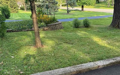 Photo of Stephanie M.'s yard after getting lawn care in Morris, IL
