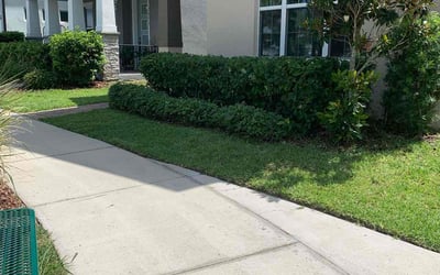 Photo of Regina S.'s yard after getting lawn care in Long Branch, NJ