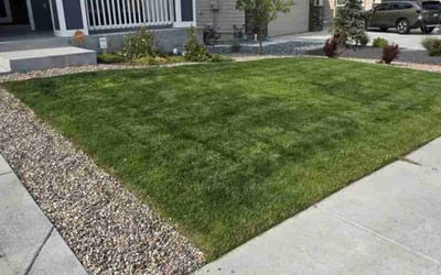 Photo of Nicole T.'s yard after getting lawn care in Woodland Park, CO