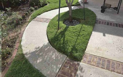 Photo of Zach C.'s yard after getting lawn care in Lubbock, TX