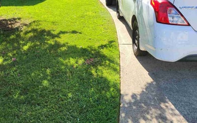 Photo of Tom B.'s yard after getting lawn care in Escondido, CA