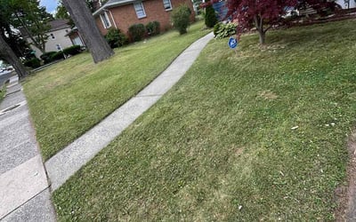 Photo of Kim B.'s yard after getting lawn care in Parsippany, NJ