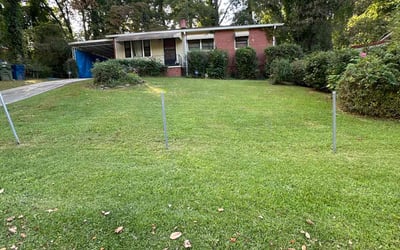 Photo of George H.'s yard after getting lawn care in Old Hickory, TN