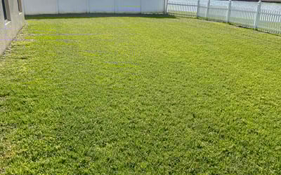 Photo of Kelvin B.'s yard after getting lawn care in Grass Valley, CA