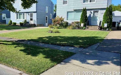 Photo of Cynthia R.'s yard after getting lawn care in Buffalo, NY
