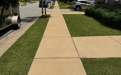 Photo of Rose J.'s yard after getting lawn care in Drexel Hill, PA