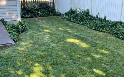 Photo of Janette B.'s yard after getting lawn care in Stratford, CT