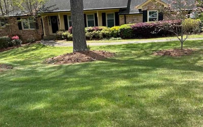 Photo of Joseph S.'s yard after getting lawn care in Smyrna, TN