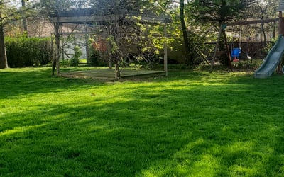 Photo of Mario A.'s yard after getting lawn care in Garfield Heights, OH