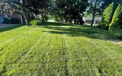 Photo of Ken J.'s yard after getting lawn care in Fairborn, OH