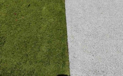 Photo of Daniel M.'s yard after getting lawn care in Graham, WA