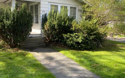 Photo of Luis H.'s yard after getting lawn care in Swansea, MA