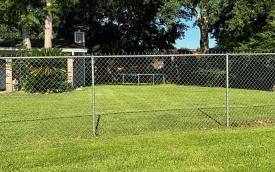 Photo of Michelle K.'s yard after getting lawn care in Gulfport, MS