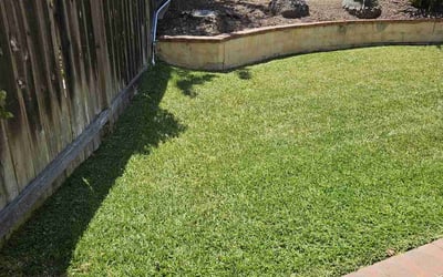 Photo of Cindy L.'s yard after getting lawn care in Carlsbad, CA
