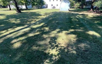 Photo of James P.'s yard after getting lawn care in Marlboro, NJ