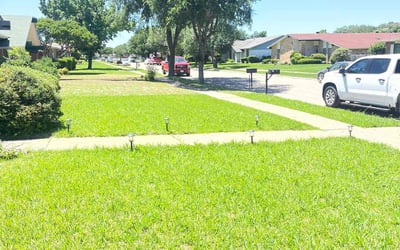Photo of Mary B.'s yard after getting lawn care in Plymouth, MI