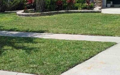 Photo of Kurt E.'s yard after getting lawn care in Truckee, CA