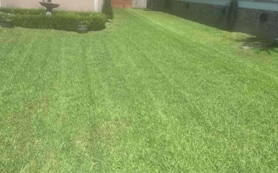 Photo of Jermaine M.'s yard after getting lawn care in Aberdeen, MD