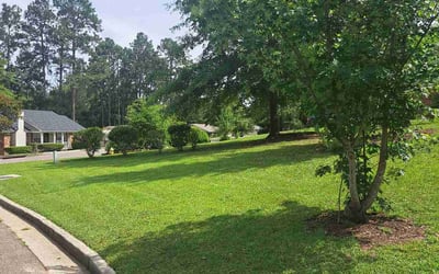 Photo of Krystle M.'s yard after getting lawn care in Hephzibah, GA