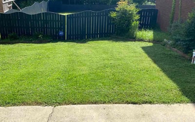 Photo of Alison H.'s yard after getting lawn care in Liverpool, NY
