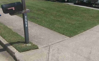 Photo of Rick M.'s yard after getting lawn care in Elyria, OH