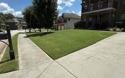 Photo of Mary T.'s yard after getting lawn care in Longmont, CO