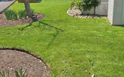 Photo of Tuan C.'s yard after getting lawn care in Freeport, PA