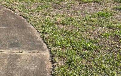Photo of Angela M.'s yard after getting lawn care in Troutdale, OR