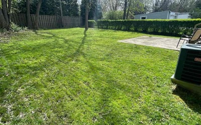 Photo of Alonda M.'s yard after getting lawn care in Lagrange, OH