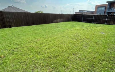 Photo of Mary B.'s yard after getting lawn care in North Hills, CA