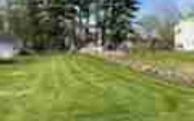 Photo of Edouard W.'s yard after getting lawn care in Avon, CT