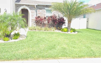 Photo of Jeremiah B.'s yard after getting lawn care in Saint Cloud, FL