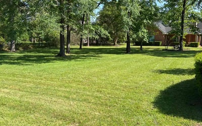 Photo of Charlotte B.'s yard after getting lawn care in Montgomery, TX