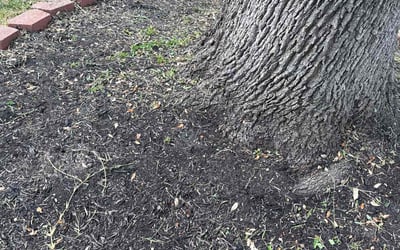 Photo of Gerrand L.'s yard after getting lawn care in Richland, WA