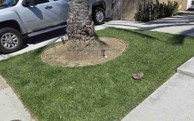 Photo of Brendan F.'s yard after getting lawn care in San Diego, CA