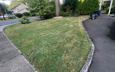 Photo of Sunyung S.'s yard after getting lawn care in Westfield, NJ