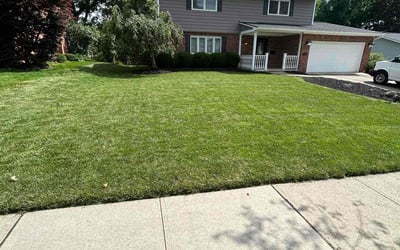 Photo of Cristine H.'s yard after getting lawn care in Salem, VA