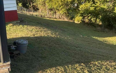 Photo of Shawn M.'s yard after getting lawn care in Sheffield Lake, OH