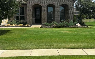 Photo of Bernard F.'s yard after getting lawn care in Sherman, TX