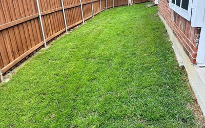 Photo of Dezi V.'s yard after getting lawn care in Wasco, CA