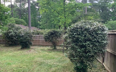 Photo of Jim C.'s yard after getting tree care in Balch Springs, TX