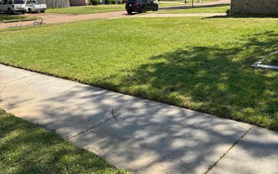 Photo of Quela G.'s yard after getting lawn care in Memphis, TN