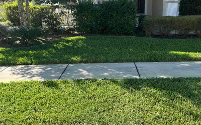 Photo of Chia T.'s yard after getting lawn care in Lutz, FL