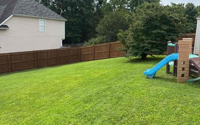 Photo of Deborah P.'s yard after getting lawn care in Belleview, FL